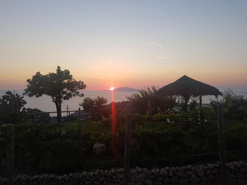 Agriturismo Del Sole Anacapri  Eksteriør bilde