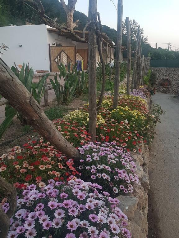 Agriturismo Del Sole Anacapri  Eksteriør bilde