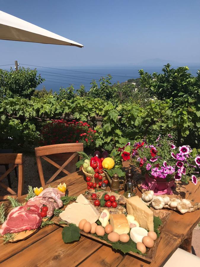 Agriturismo Del Sole Anacapri  Eksteriør bilde