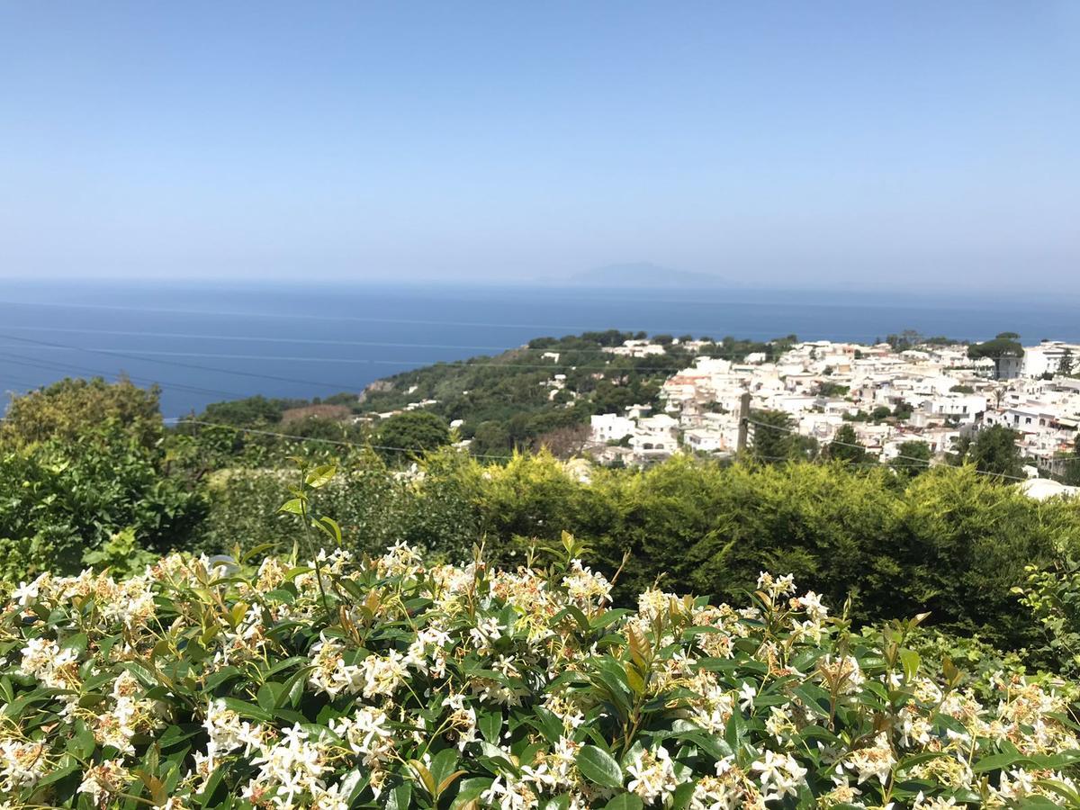 Agriturismo Del Sole Anacapri  Eksteriør bilde